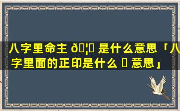 八字里命主 🦈 是什么意思「八字里面的正印是什么 ☘ 意思」